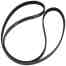 DRIVE BELT