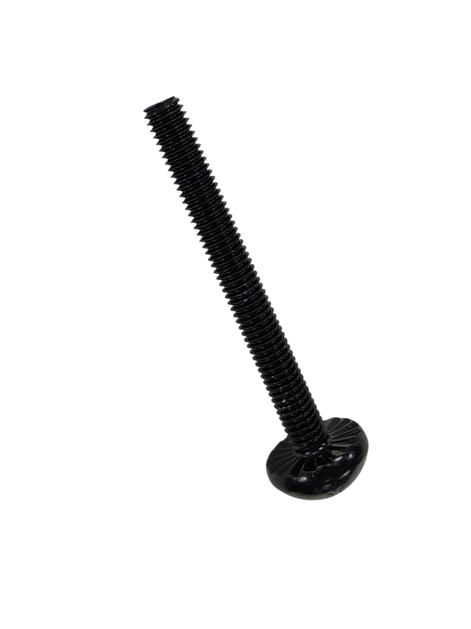 M6 X 55MM SCREW