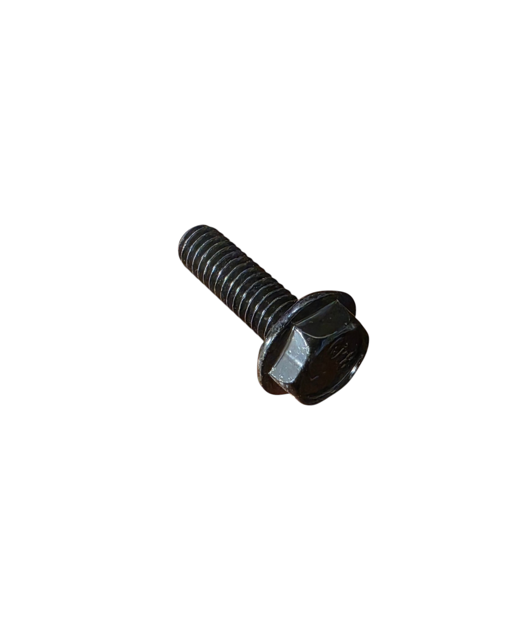 FLANGE SCREW