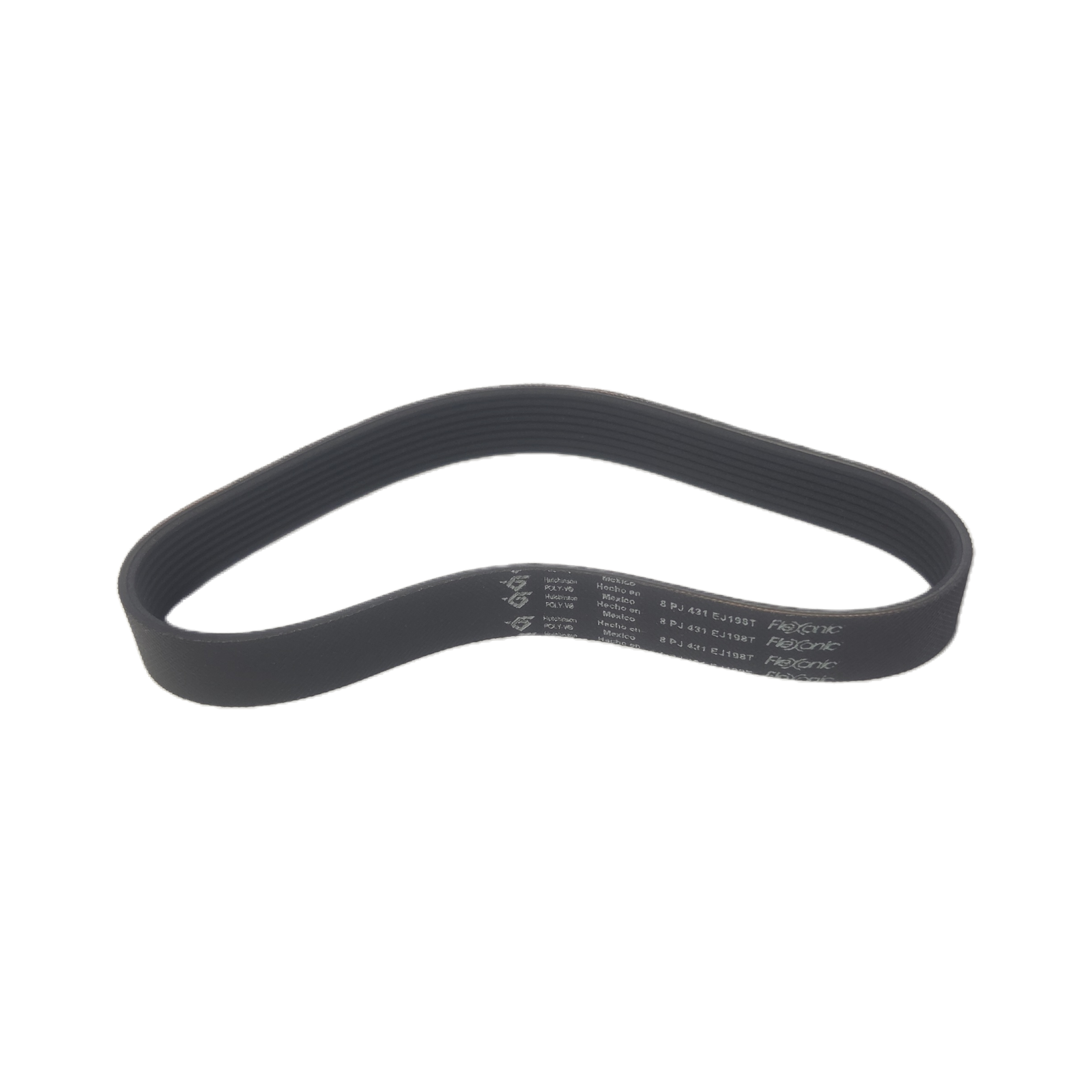 OEM MOTOR BELT